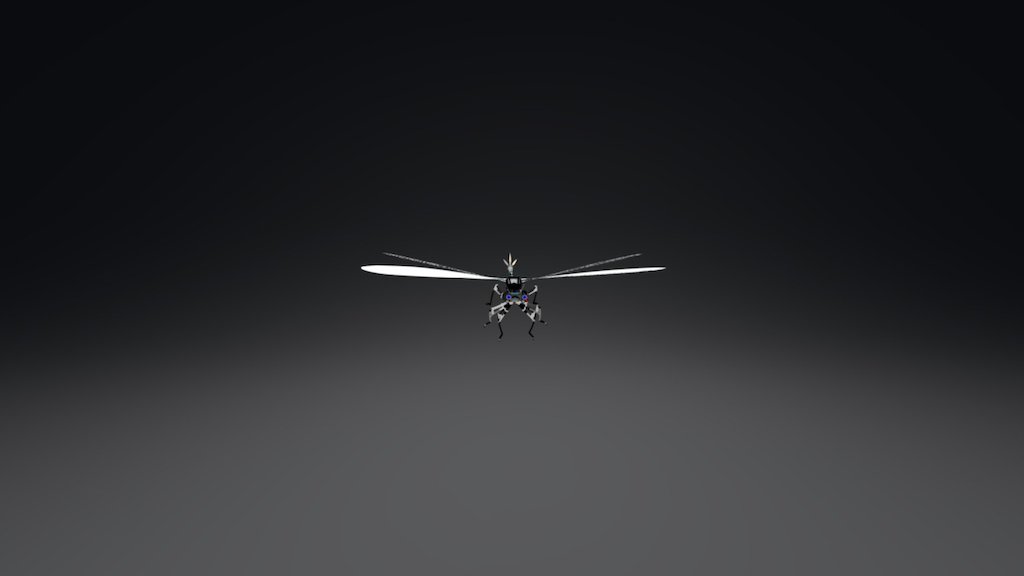 Damselfly Robot