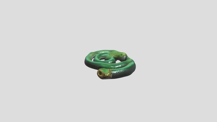 Ultra-Realistic 3D Snake Model