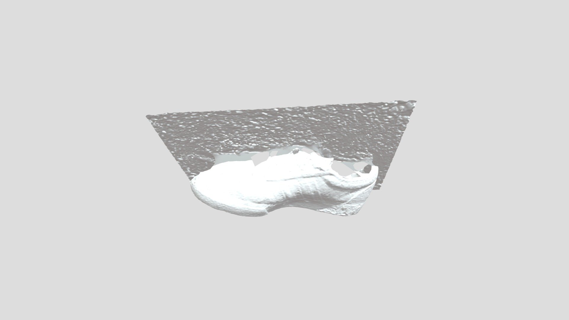 Shoe On Ground