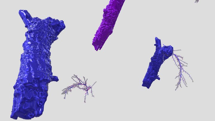 5 3D Model