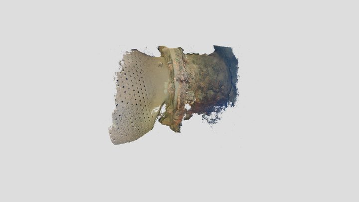 Photogrammetry Underwater Point Cloud 3D Model