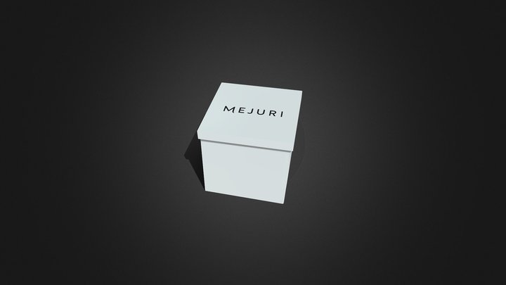 Mejuri Box Packaging 3D Model