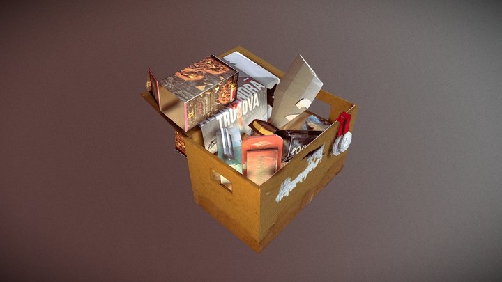 jenson_trashbox 3D Model
