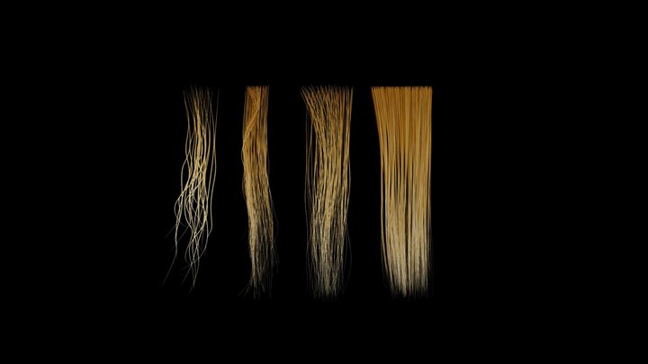 Hair streaks 3D Model