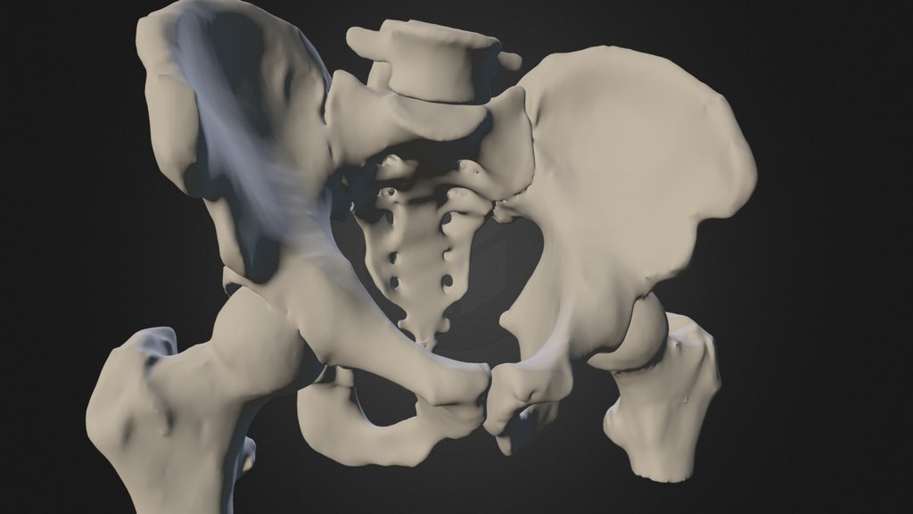 Becken - A 3D model collection by don-michi - Sketchfab