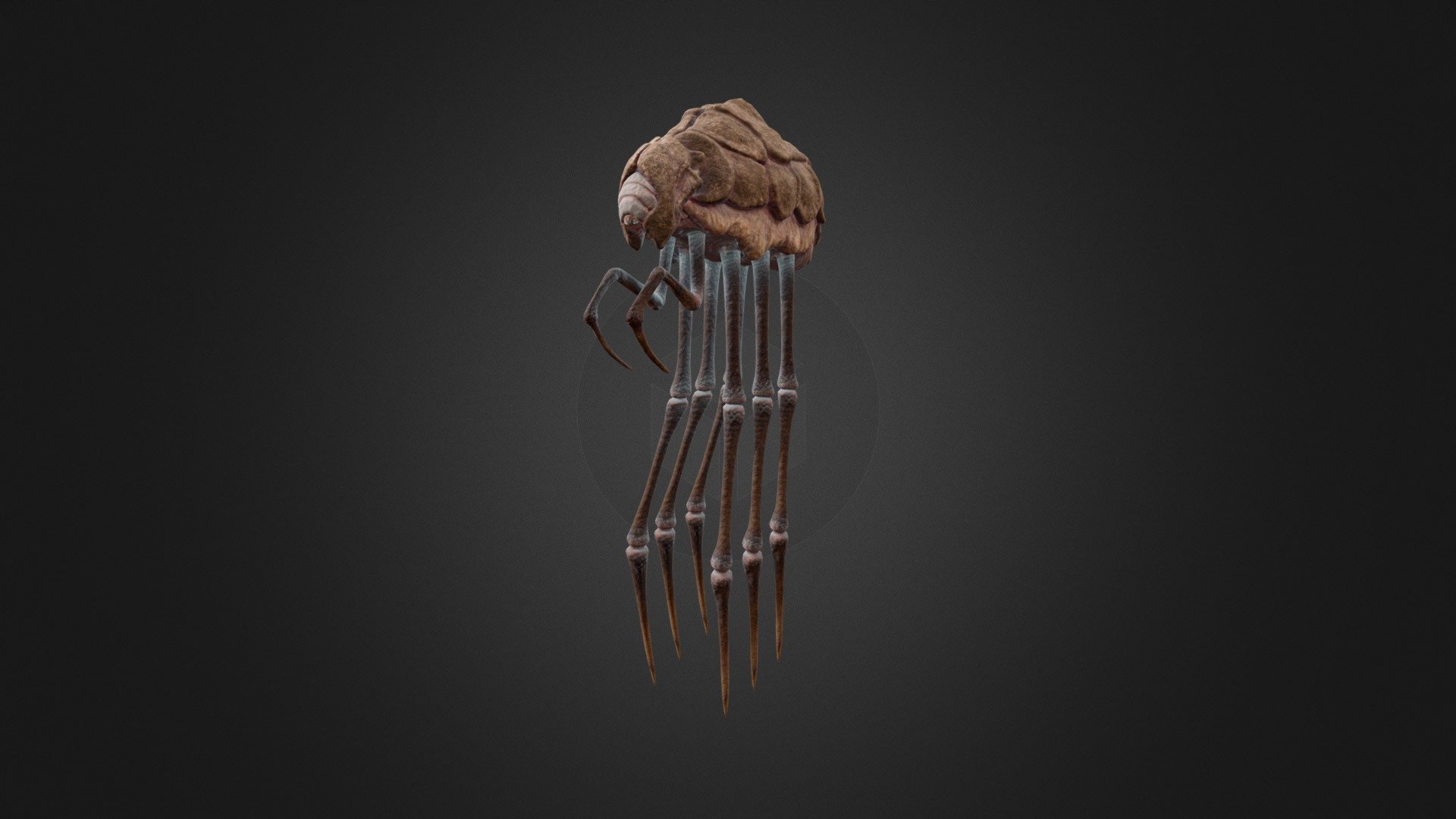 Silt strider - 3D model by Nandi [253b105] - Sketchfab