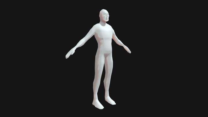 Human_ Base_ Mesh 3D Model