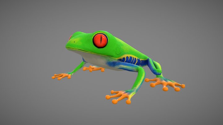 Tree Frog 3D Model