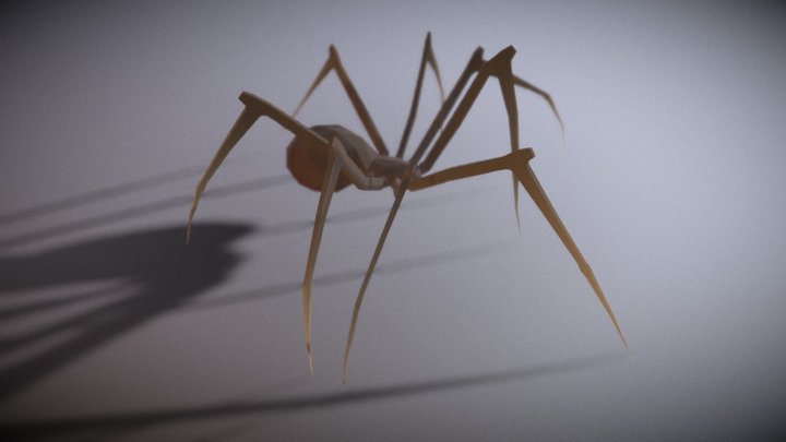 Animated Low poly spider 3D Model