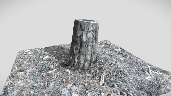 Stump 3D Model