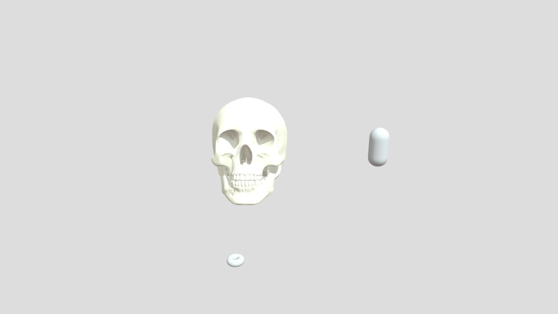 a dead skull