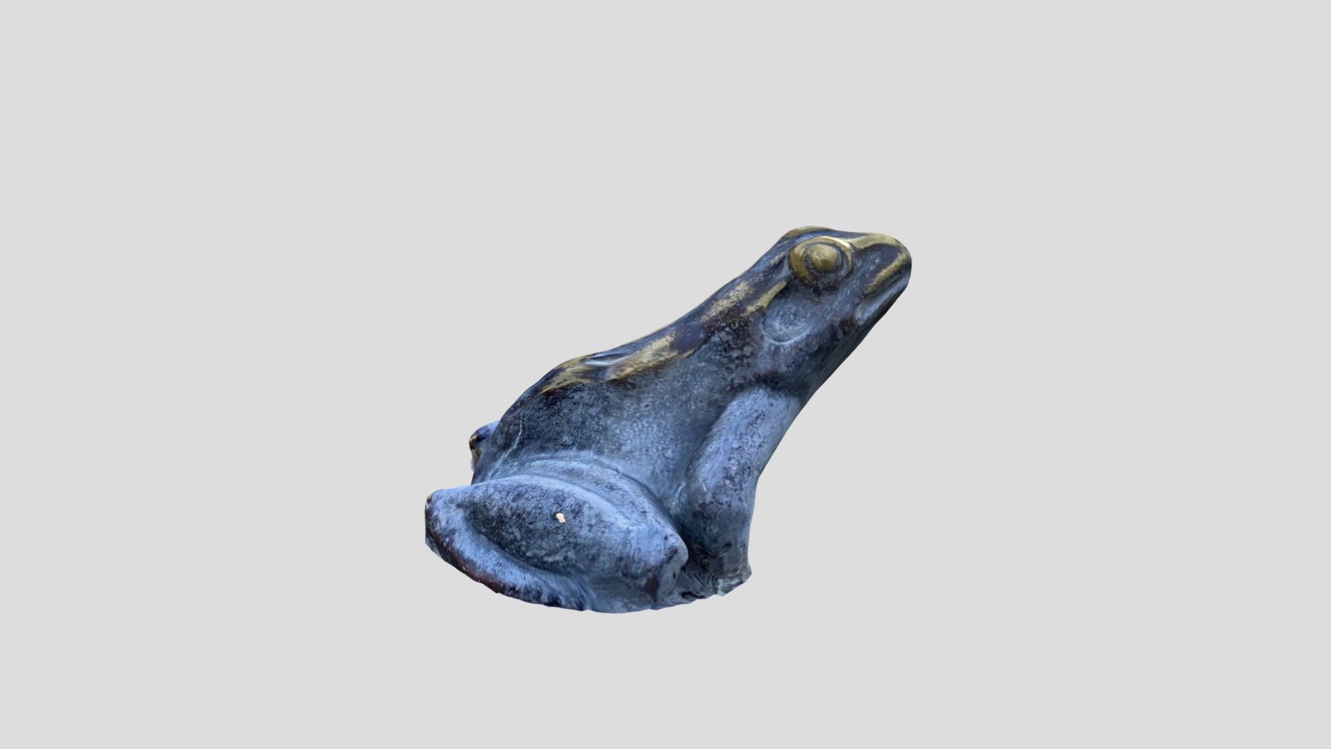 POLYCAM FROG PROCESSED