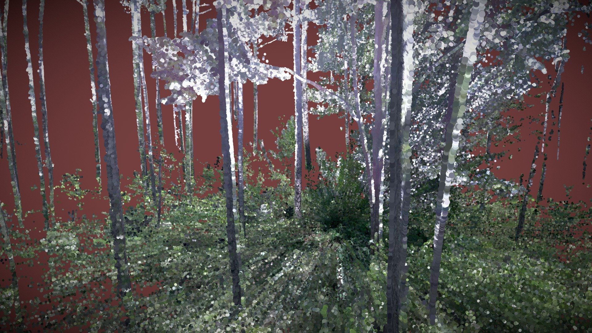 FMNF00240721 Cropped