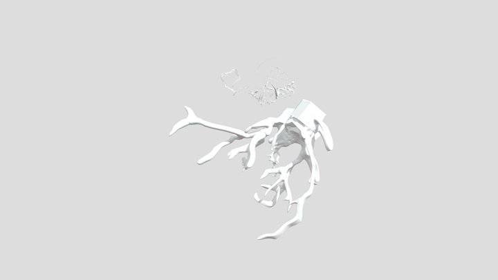 Shapelab-test-obj 3D Model