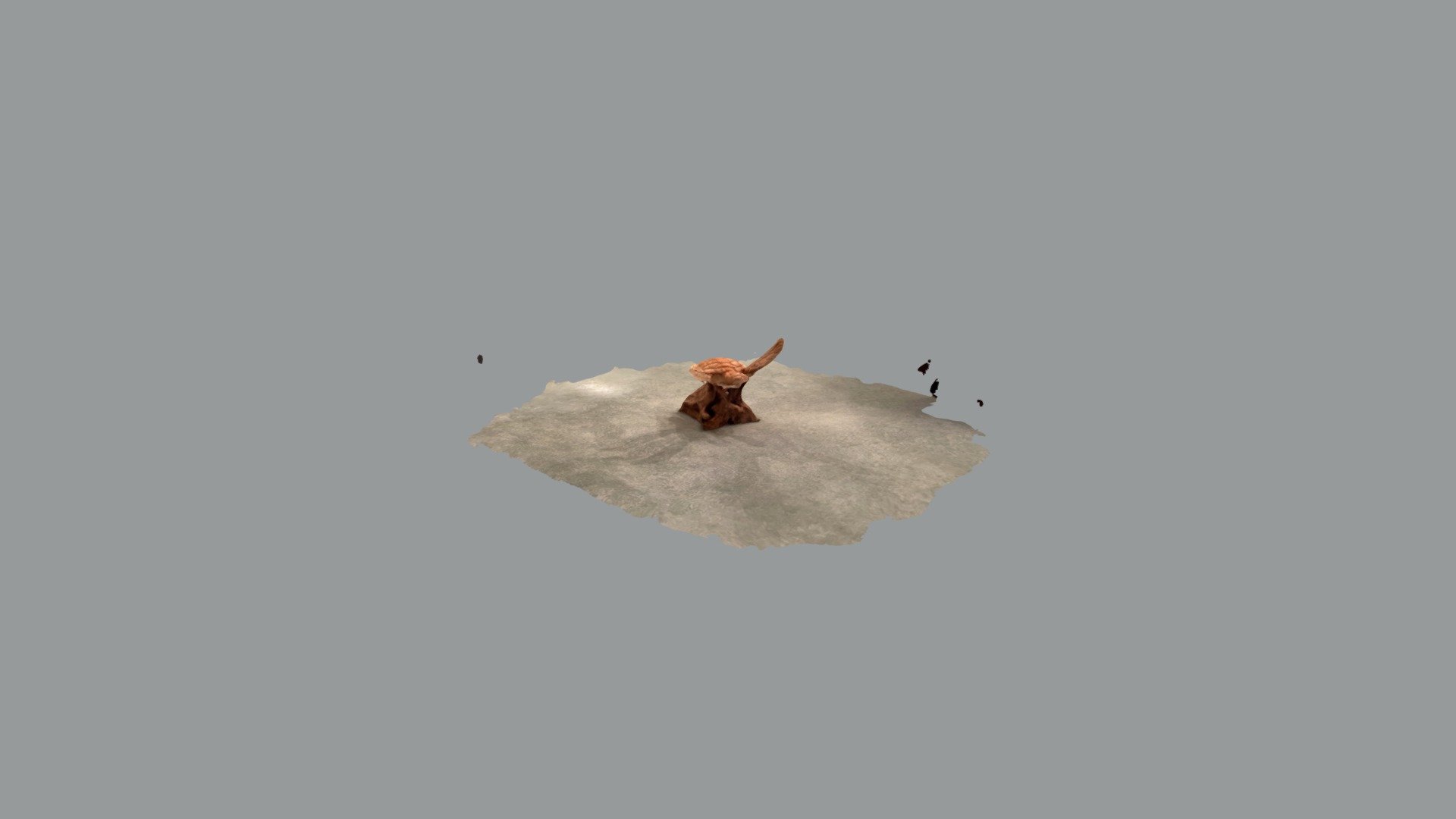2. Morla’s wood — Sketchfab embed 3D viewer