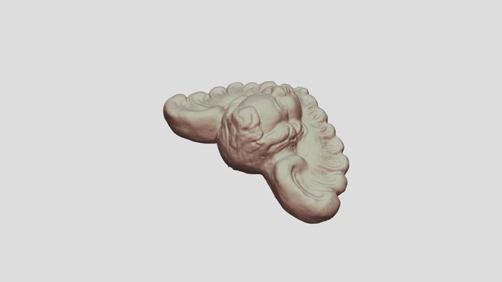 Ornament_tex 3D Model