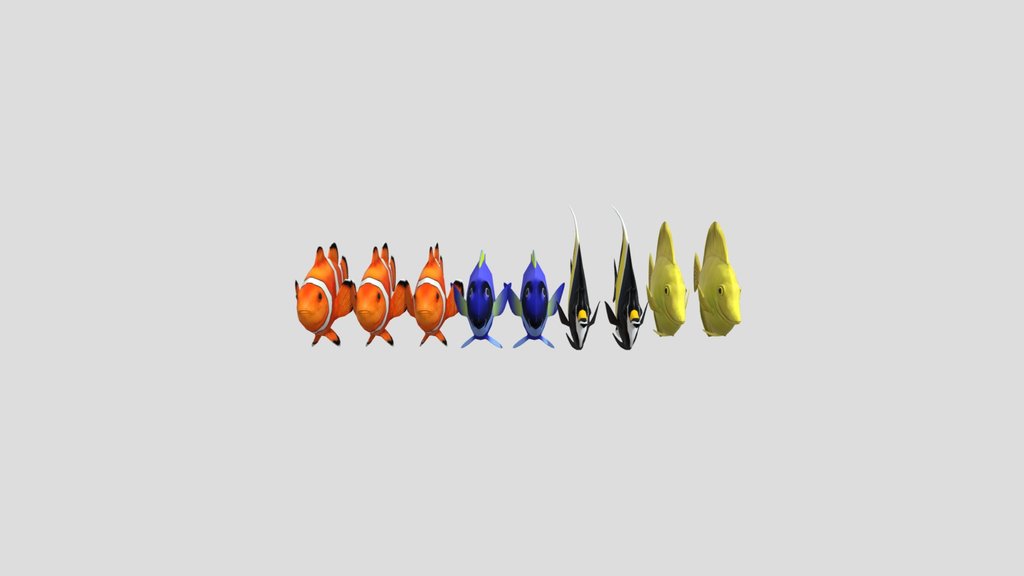 School Of Fish