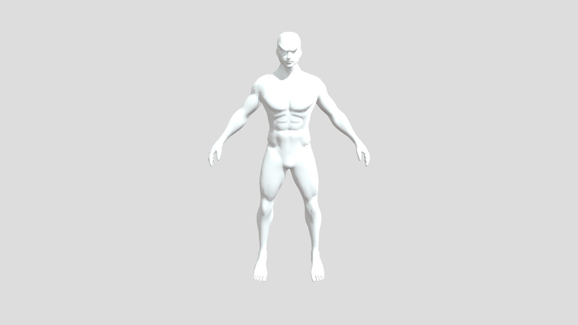 Roronoa Zoro Body