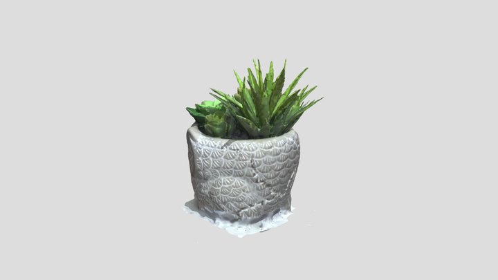 Bathroom Plant 3D Model