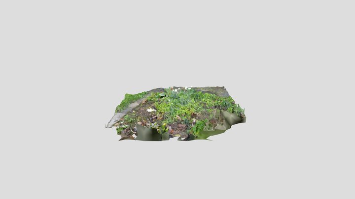 Snowdrops – Modello 3D gratuito STL