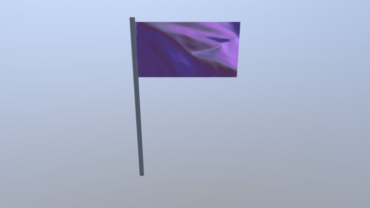 INT3D - Flag 3D Model