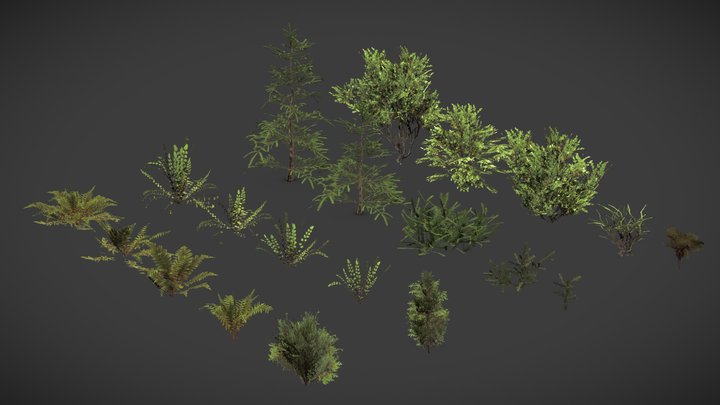 foliage 3D Model