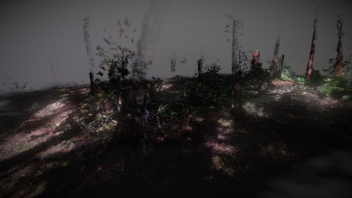 rivertown-tree-down-2020-11-15-decimated – Free 3D Model STL