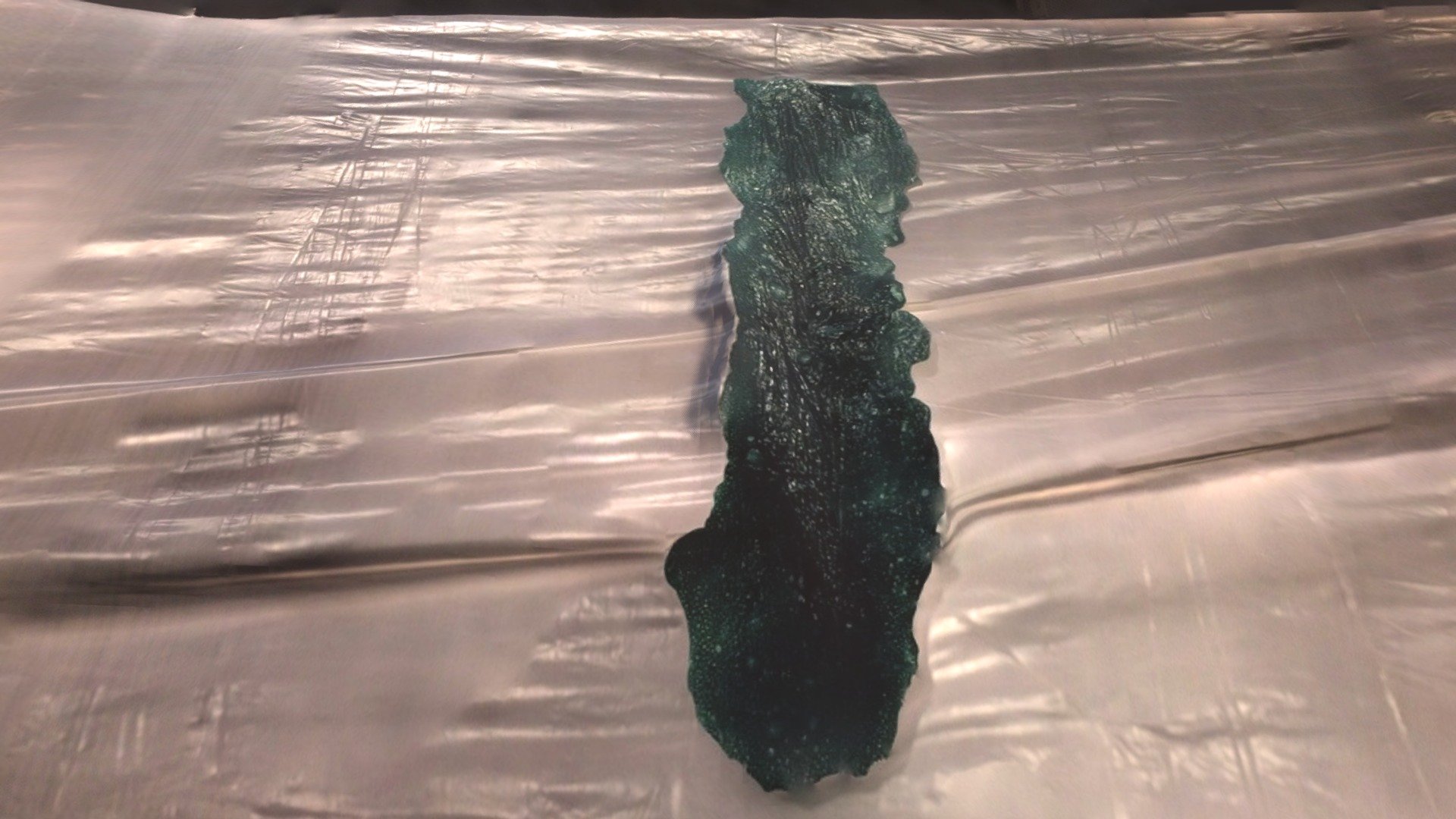 plant on plastic sheet