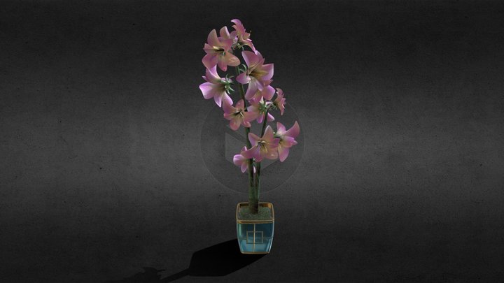 Flowers 3D Model