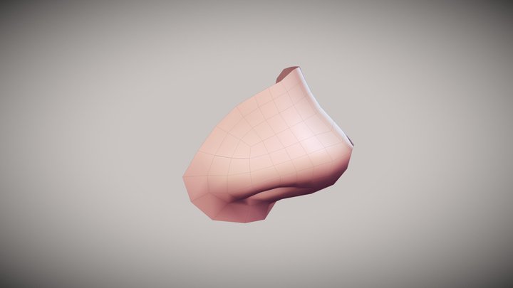Nose 2(stilized) 3D Model