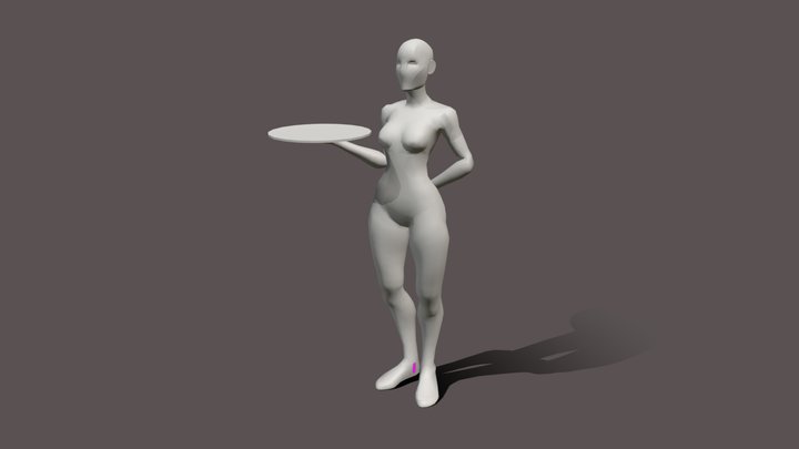 Maid Animation Set 3D Model