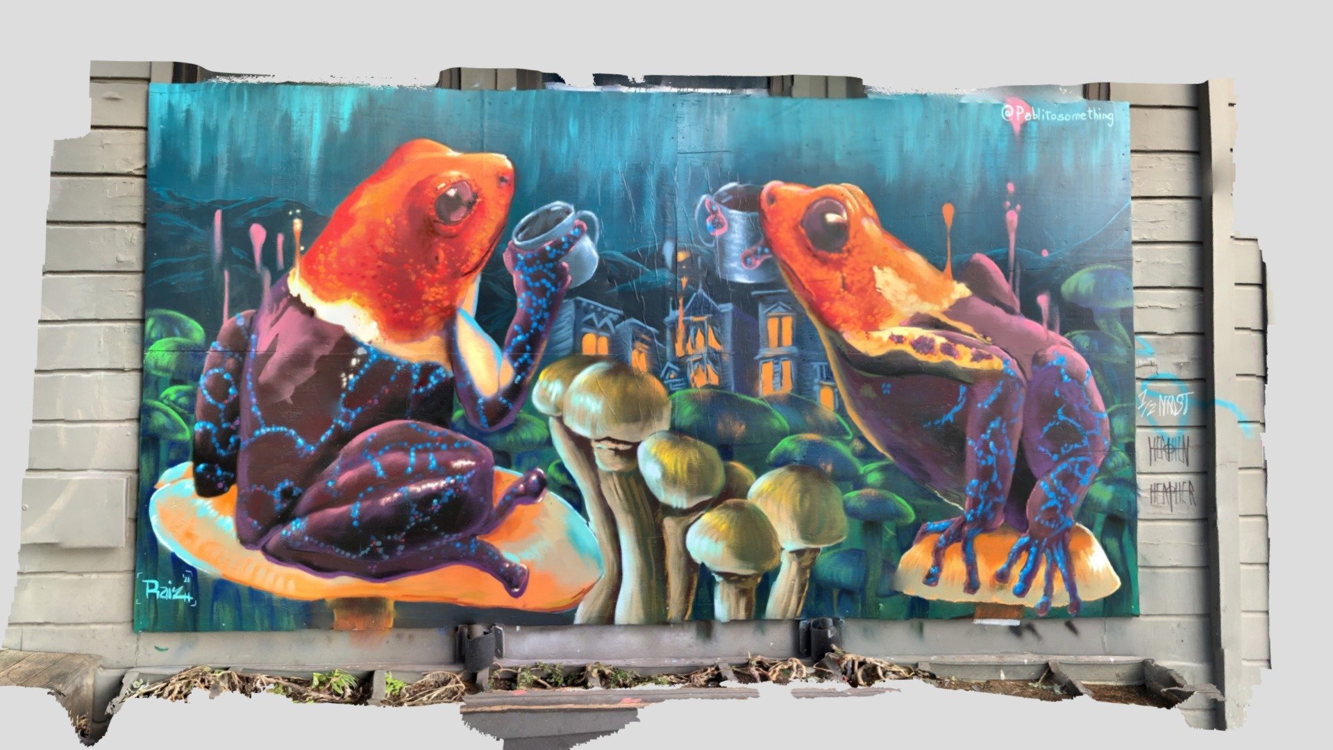 Frogs n coffee