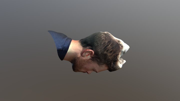 Joey head 3d scan 3D Model