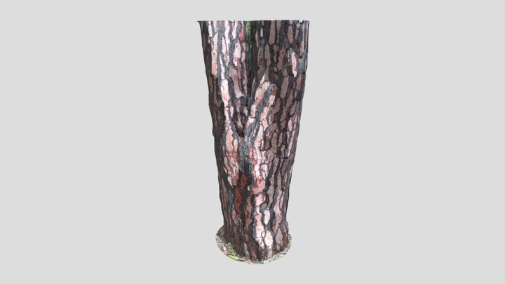 Tree Bark – Modèle 3D gratuit STL
