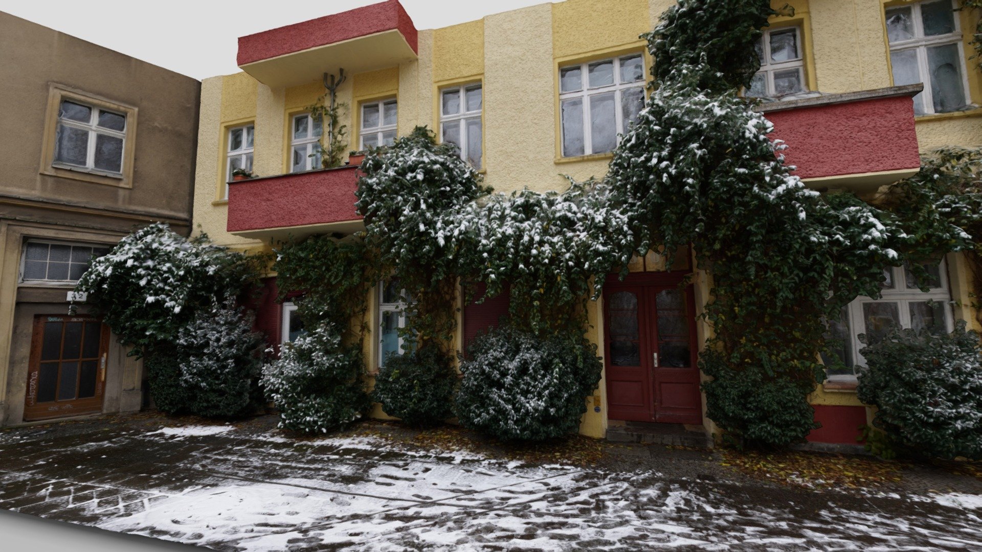 Door #30 - Vines under snow