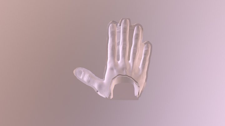 Top Mold for Prosthetic Hand Silicone Skin 3D Model