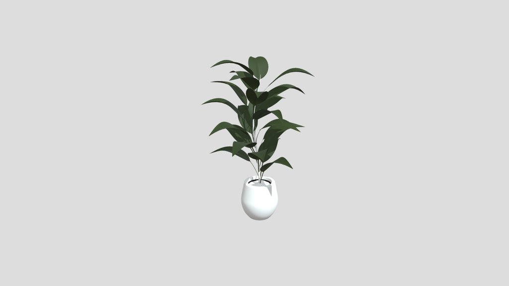 Modular Ficus Plant