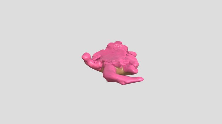sugar glider – Free 3D Model STL