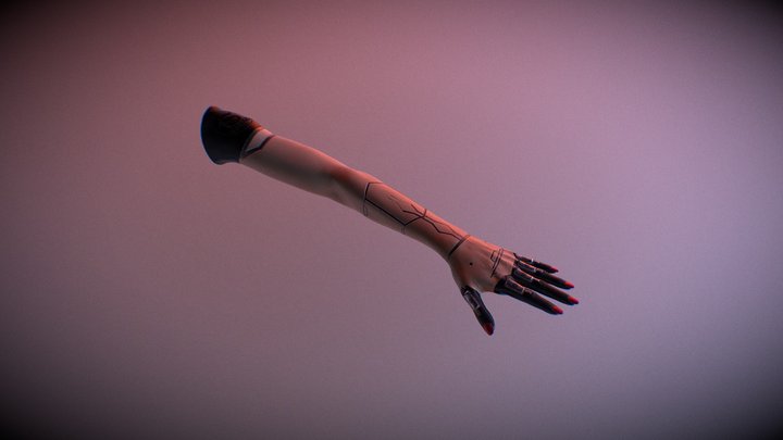 Cyberpunk Style Female Arm 3D Model