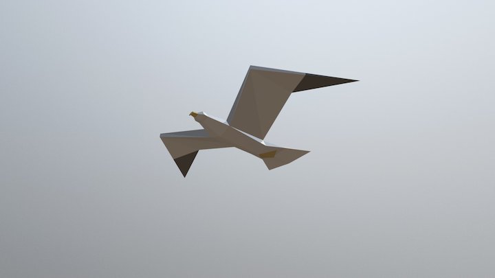 flying seagul 3D Model