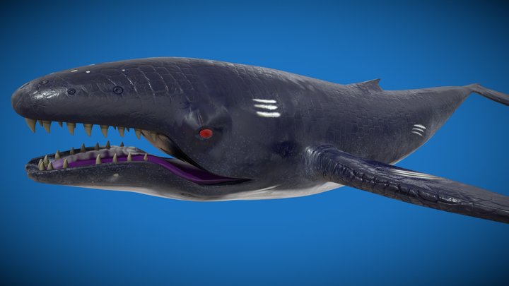 Monster Whale 3D Model