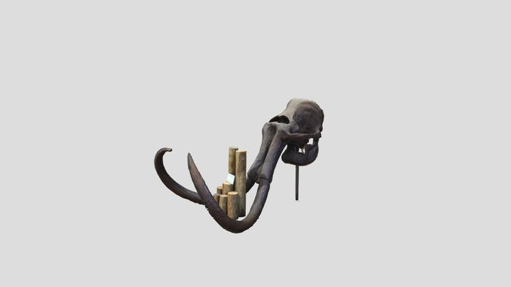 Mammoth 3D Model
