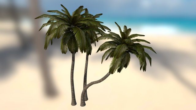 Low Poly Palm Trees 3D Model
