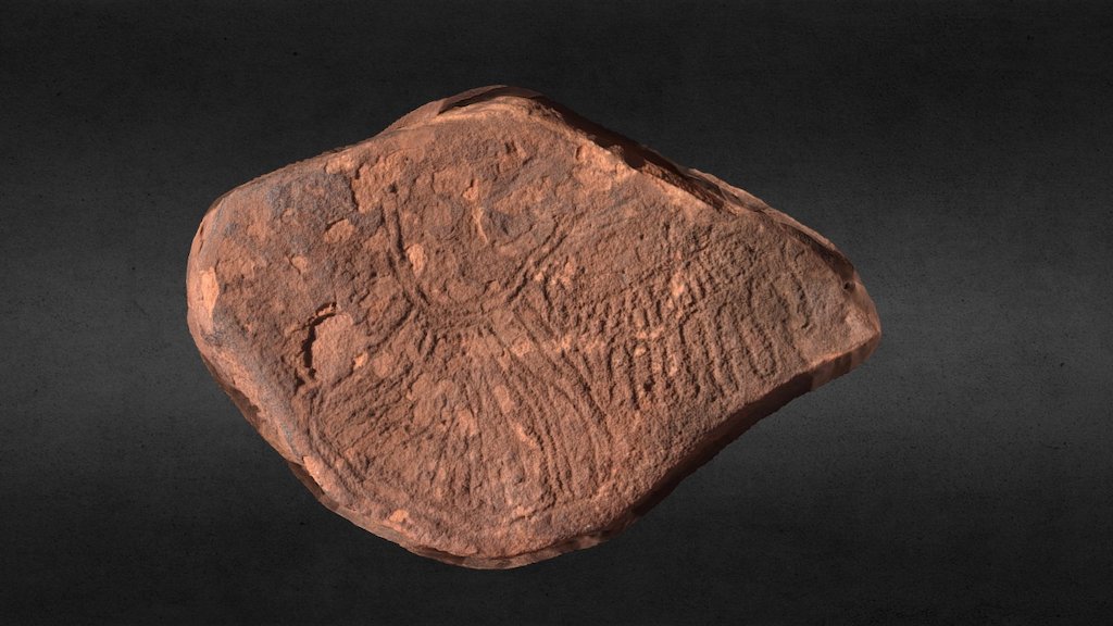 Petroglyph, Burrup Peninsula