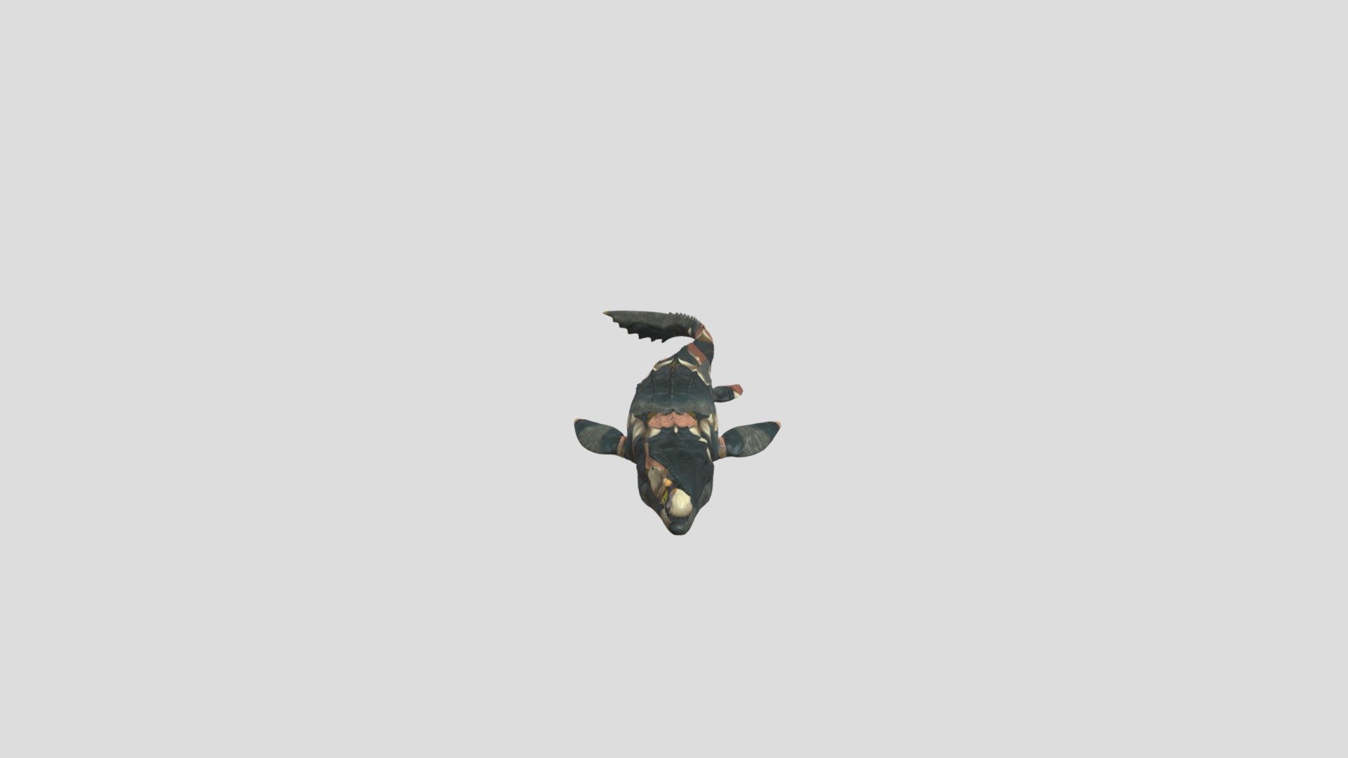 Mosasaurus - 3D model by aanamdev [2584b8a] - Sketchfab