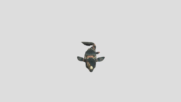 Mosasaurus 3D Model