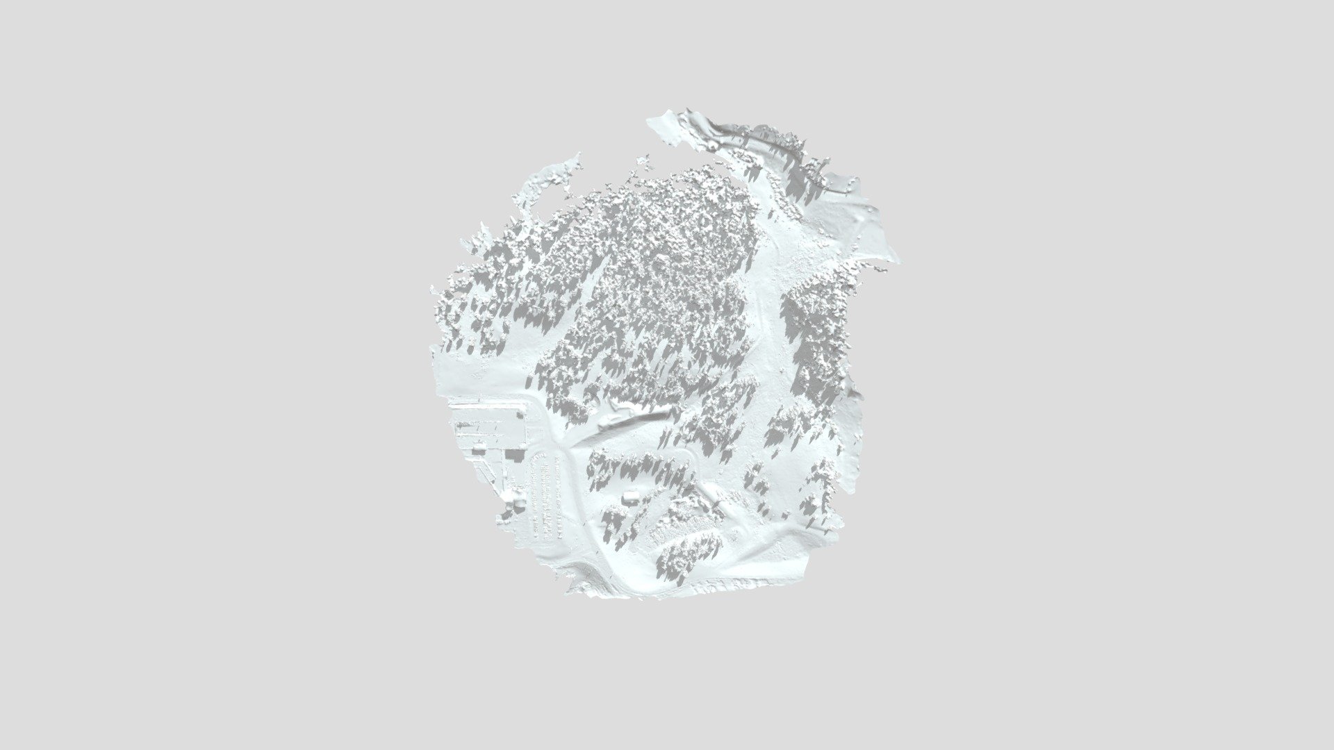 21559 Simplified 3d Mesh