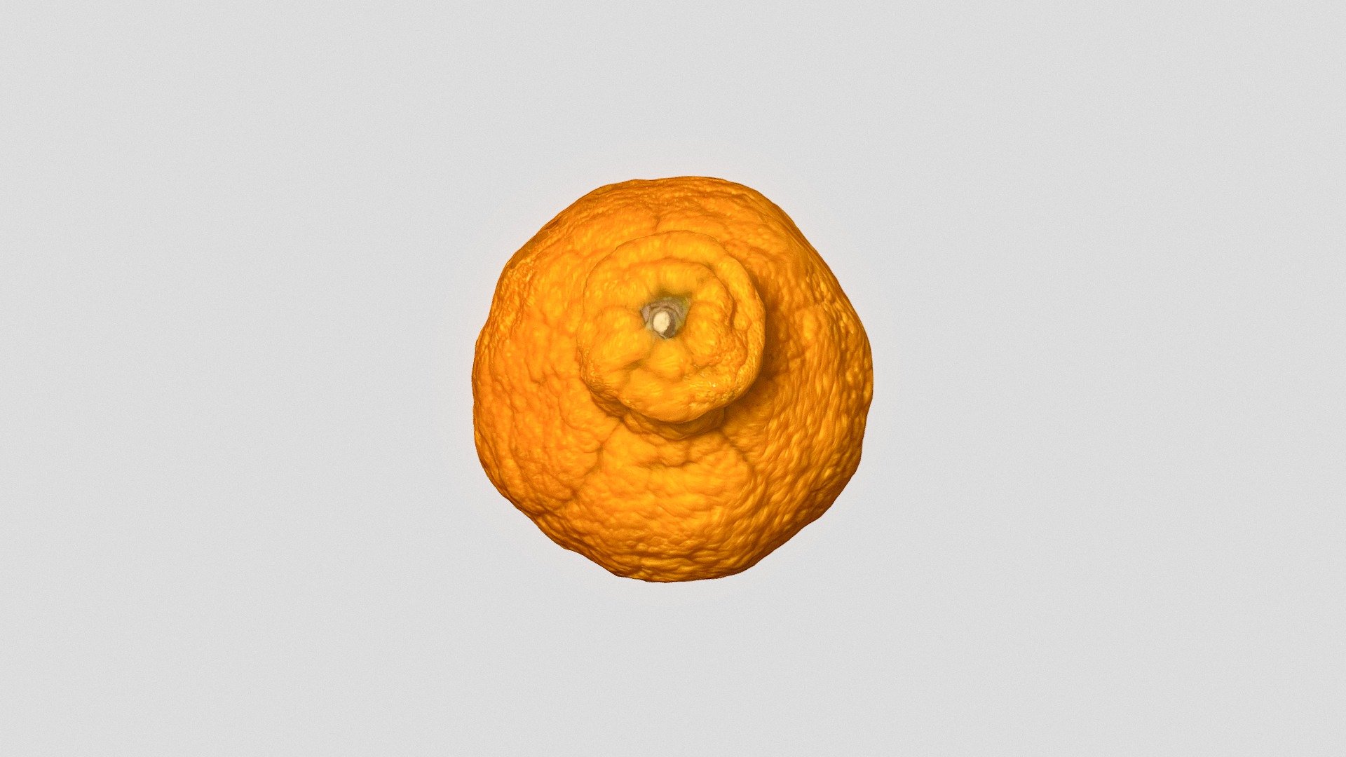 orange2