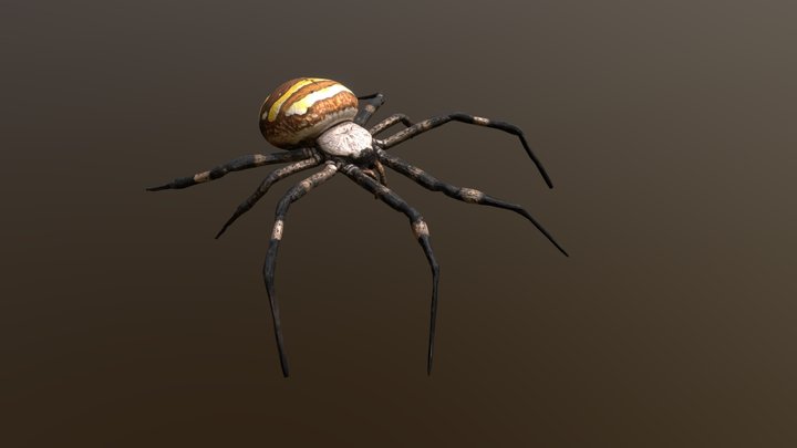 Spider – Kostenloses 3D-Modell STL
