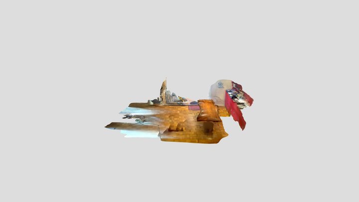 Polycam capture 3D Model